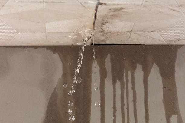 Professional Water Extraction technician working in Francitas, TX
